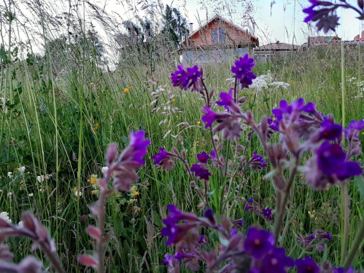 Вила Орцево Vila Ortsevo Exterior foto